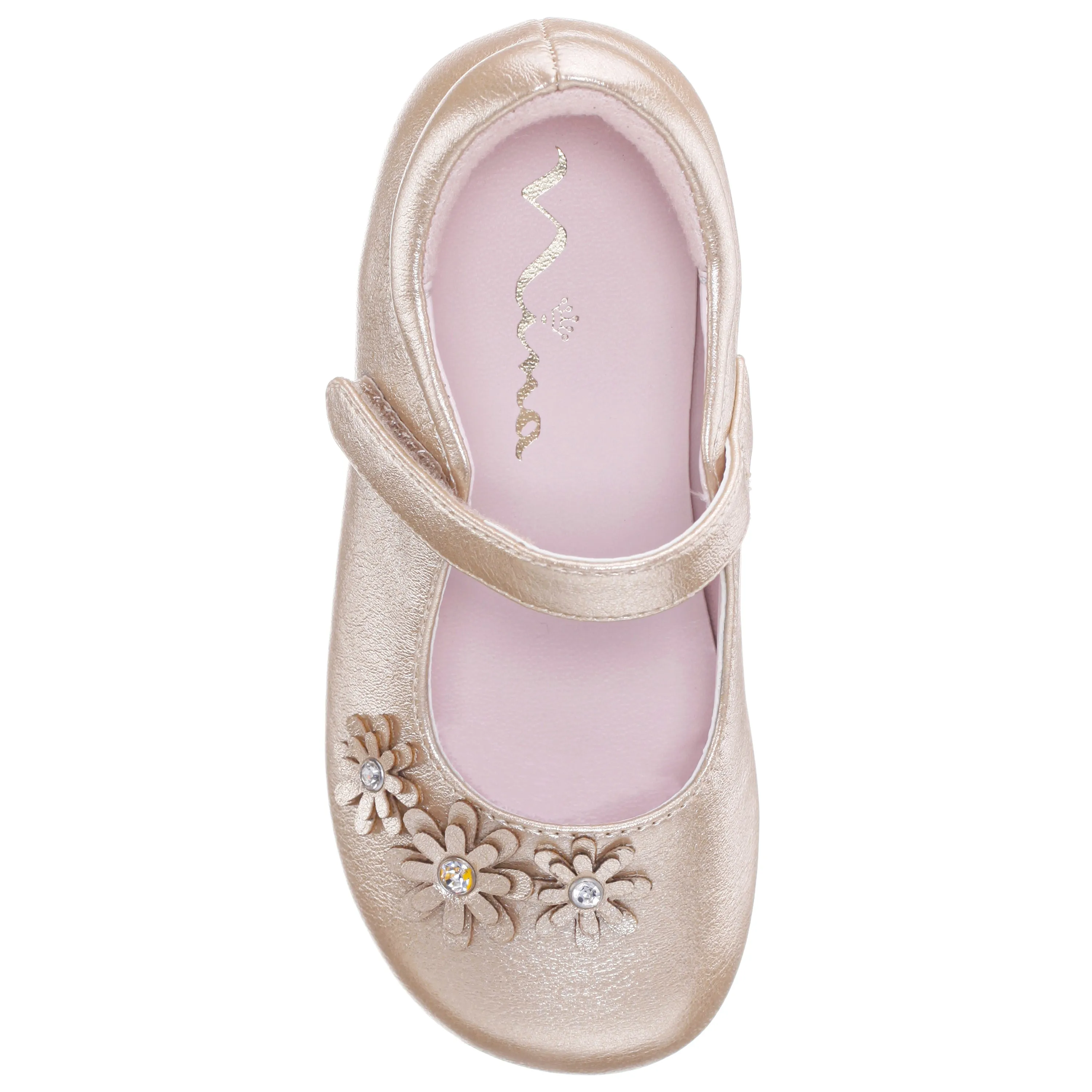 DAISY-GOLD