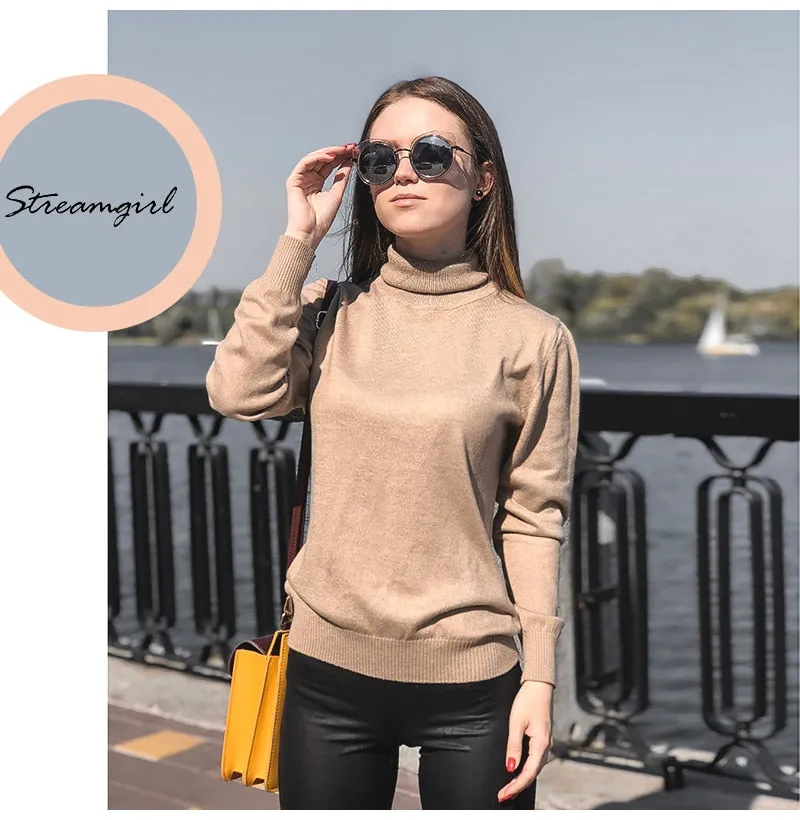 VenusFox Cashmere Turtleneck Knitted Sweater